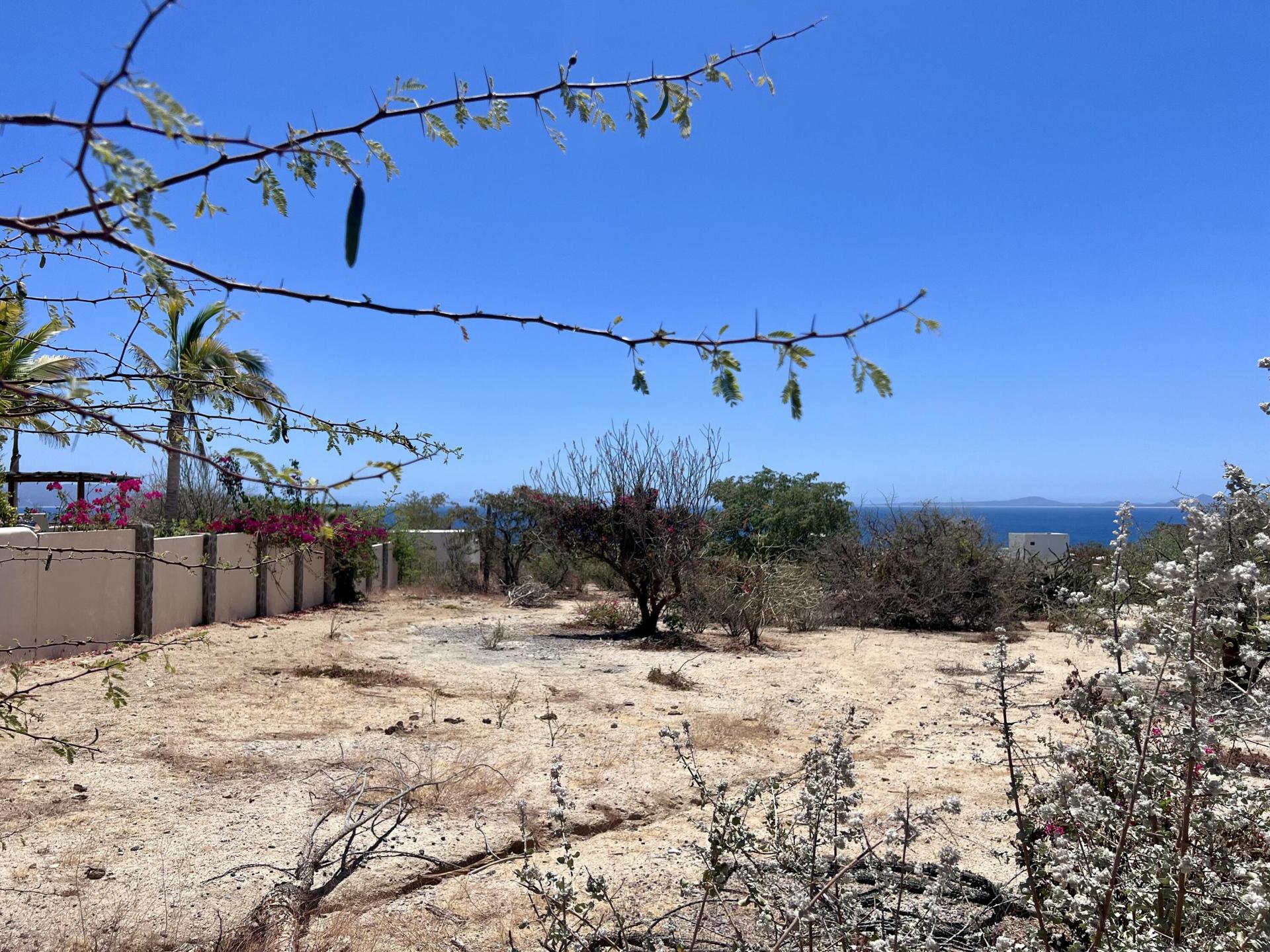 Hipocampo Lot B, La Paz — photo 1 of 6