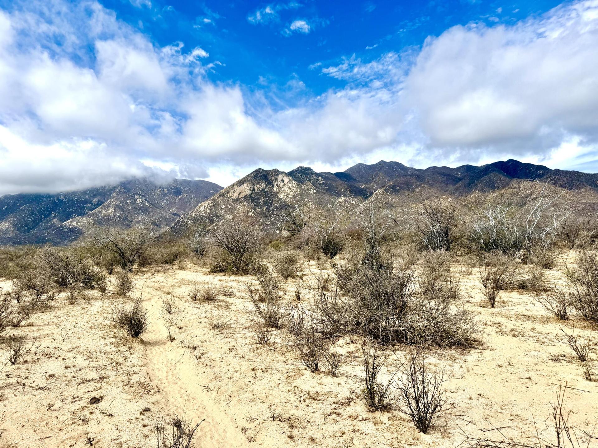 Calle Mar De Cortes, Cerralvo View Lot., East Cape — photo 1 of 17