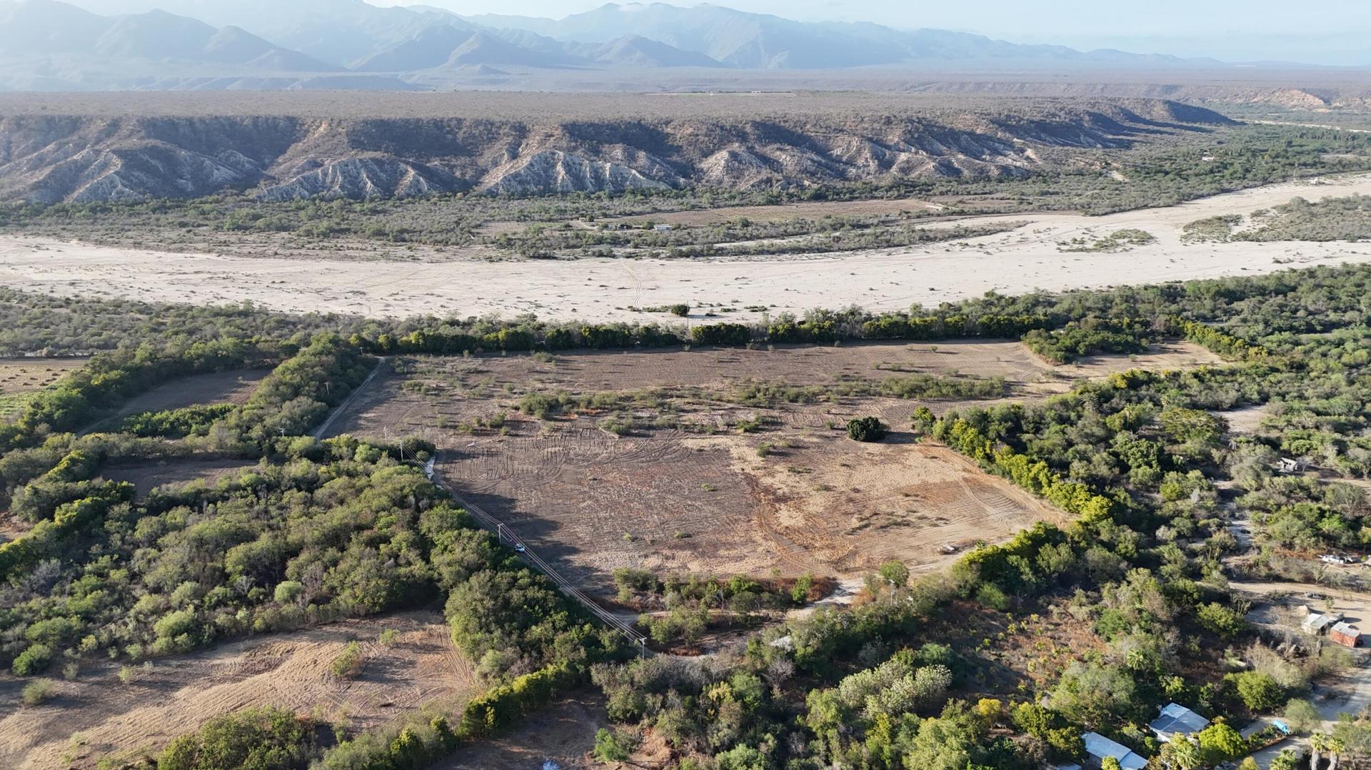 Organic Farm Estate, East Cape — photo 1 of 24