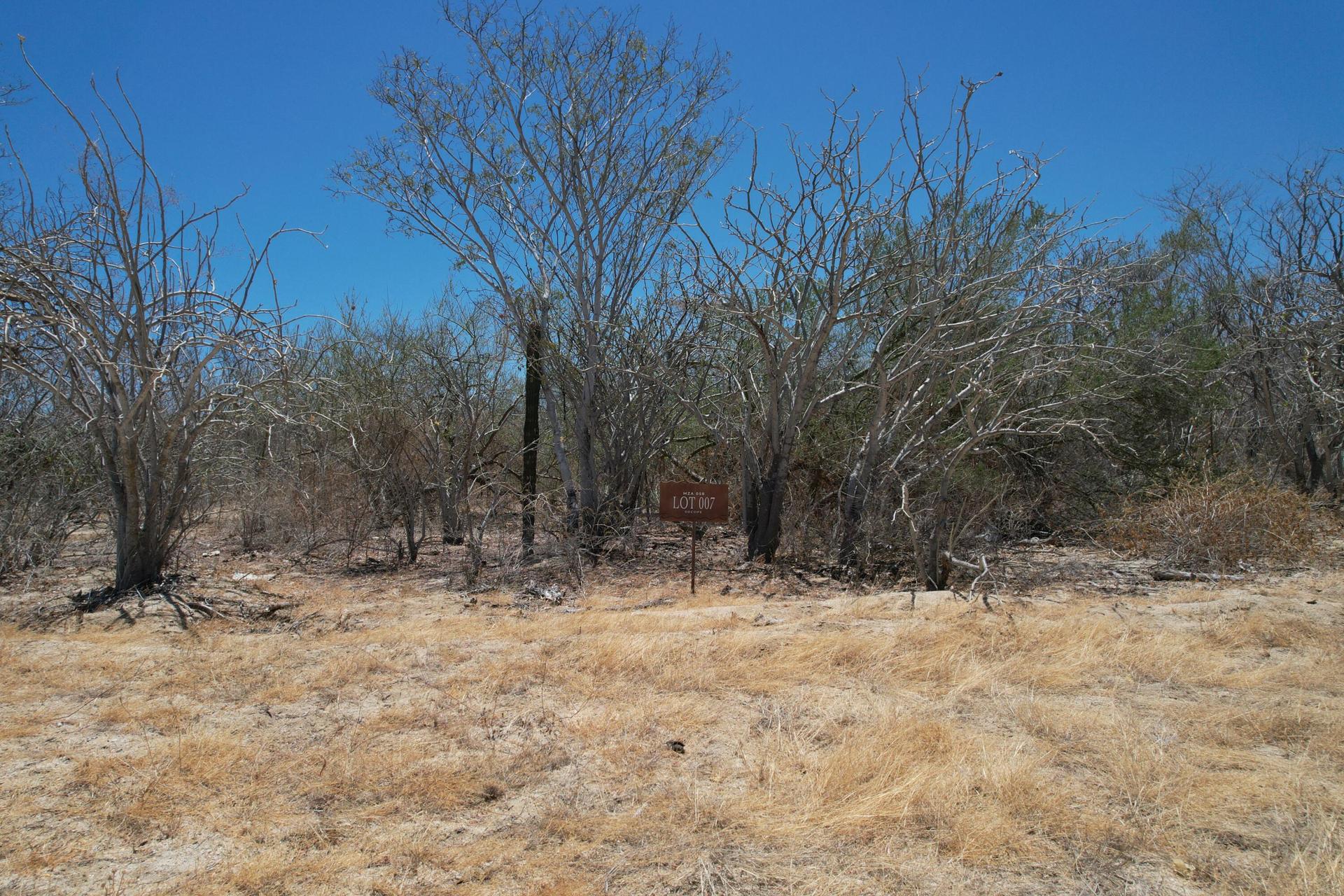 Colina del Sol Lote 7 Mzn 58, East Cape — photo 1 of 11