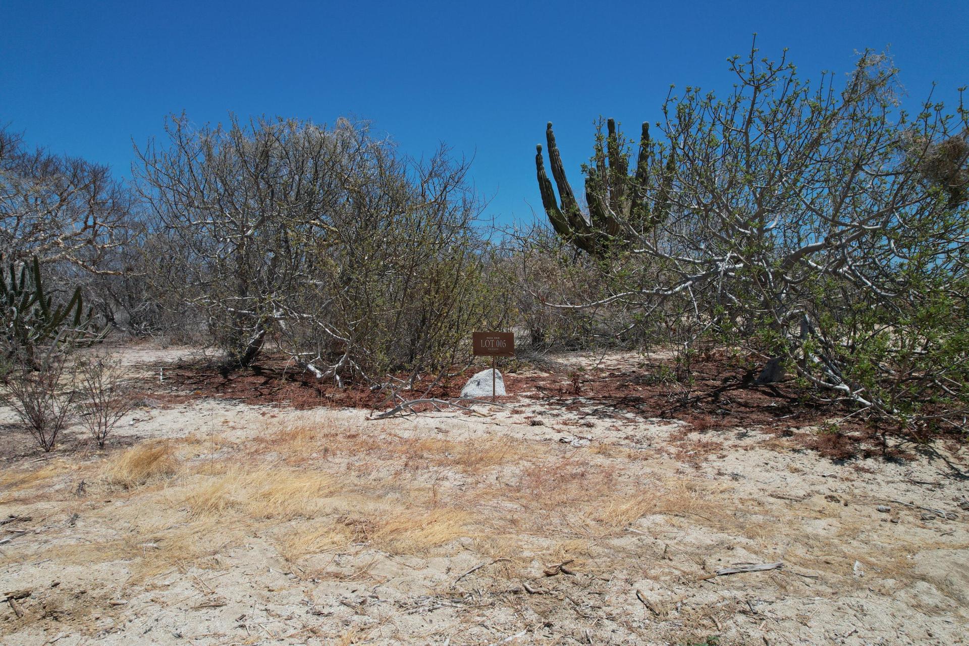 Circuito del Sol, Colina del Sol Lote 6 Mnz. 60, East Cape — photo 1 of 13