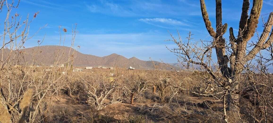 Land Rustic Los Cerritos, Pacific — photo 1 of 4