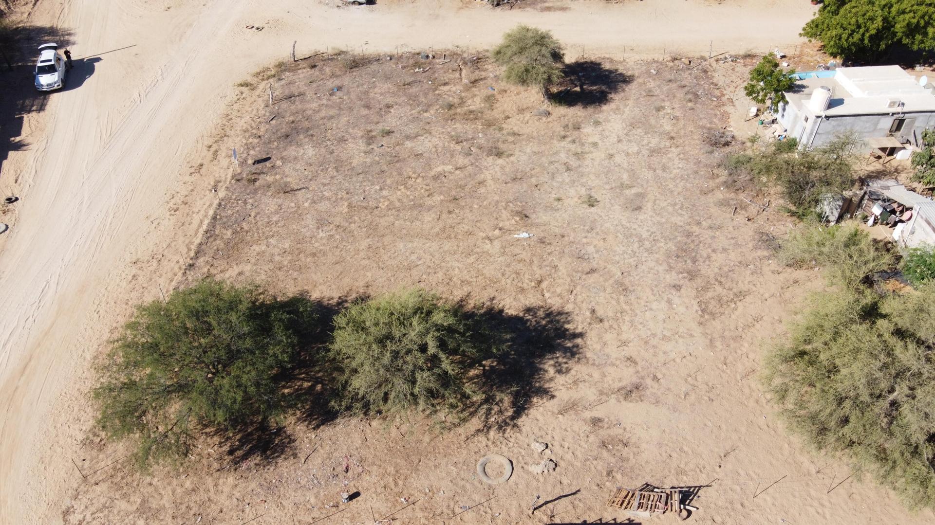 8 Alberto Montano, Ruger'S Lot, East Cape — photo 1 of 10