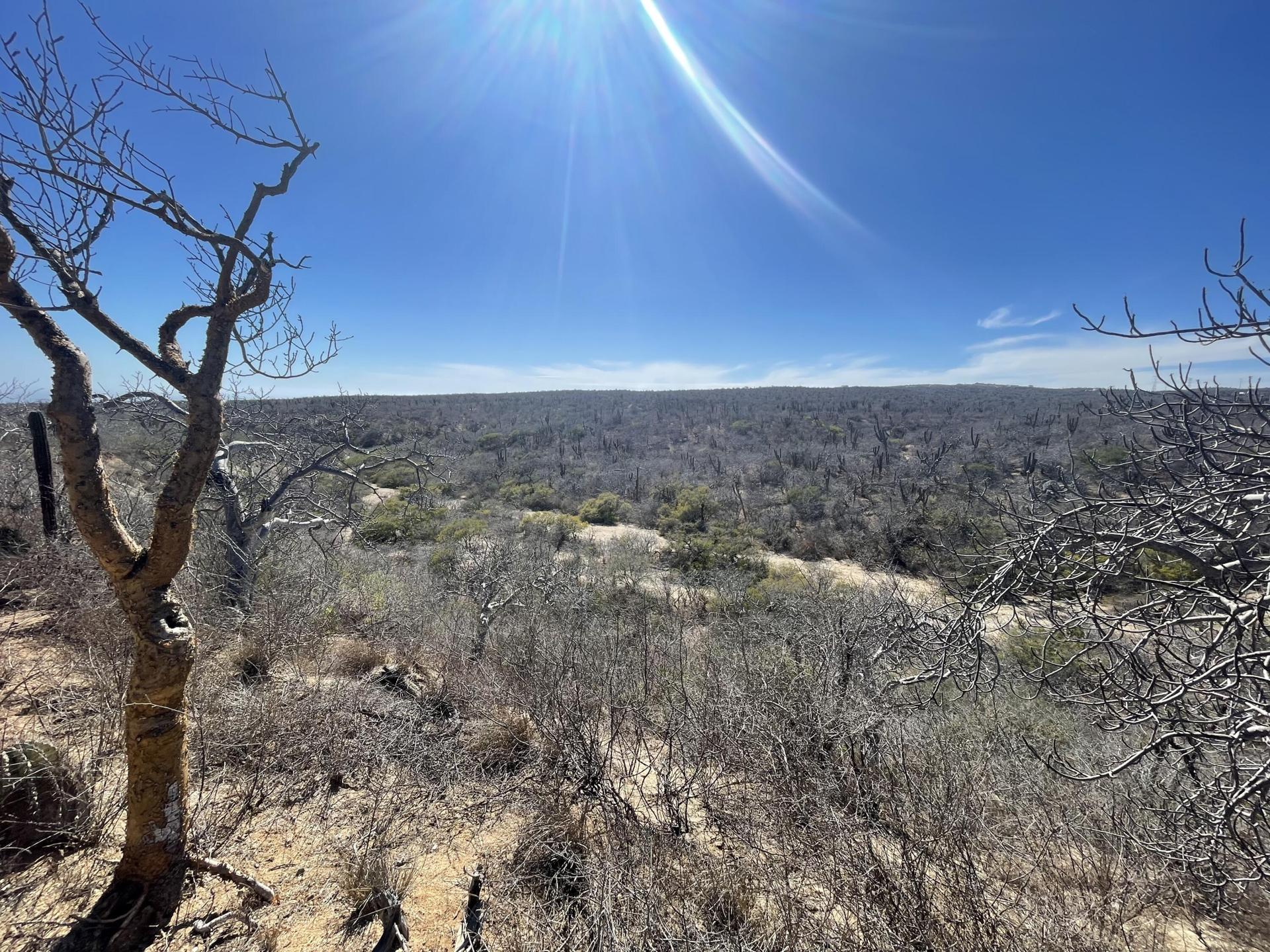 M A1 L37 Sn, Lote Barraza, Pacific — photo 1 of 9
