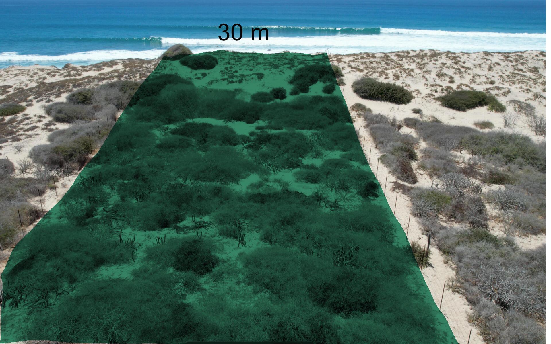 Lot 10 Demacias De San Luis,East Cape, Beachfront 30 M, East Cape — photo 1 of 12
