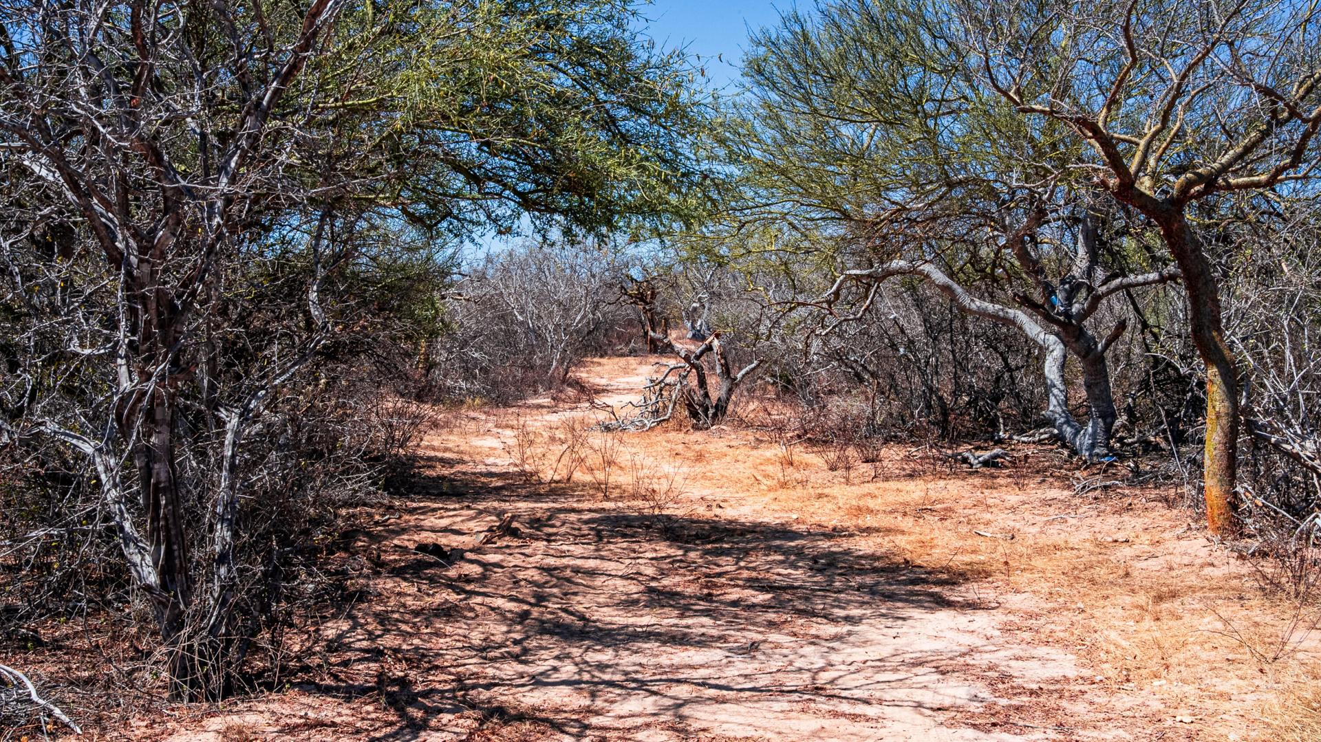 Fraccion E De La Fracción 4, San Juan Lot, East Cape — photo 1 of 12