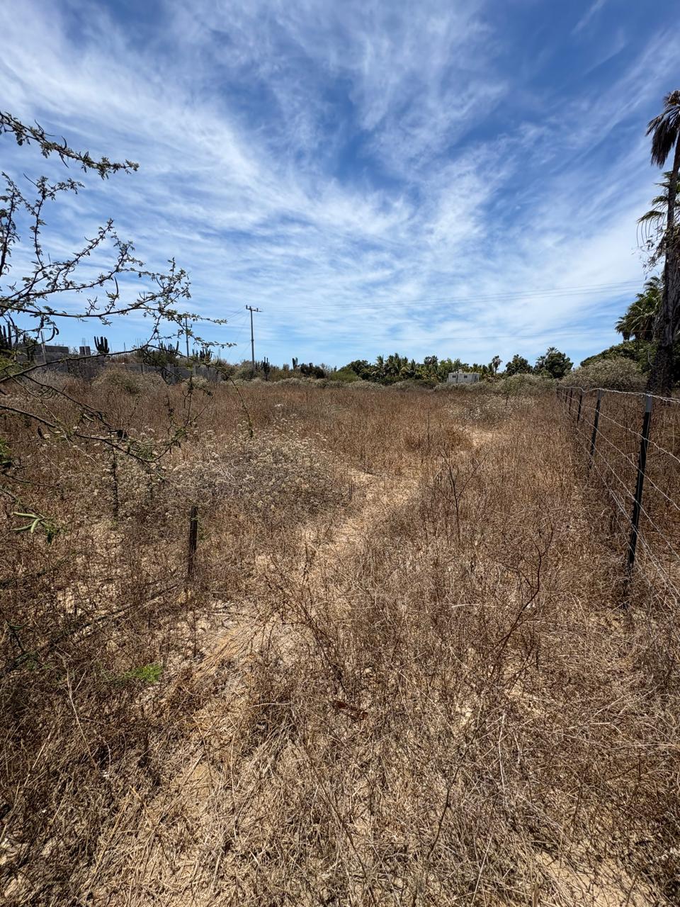 Lot - Pescadero Beach Living, Pacific — photo 1 of 10