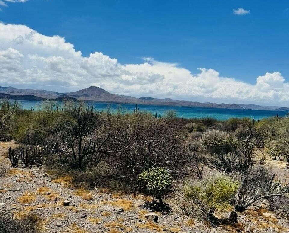 Brecha S/N, Bahía Asunción, Land Mulege Ejido La Purisima, Mulege — photo 1 of 10