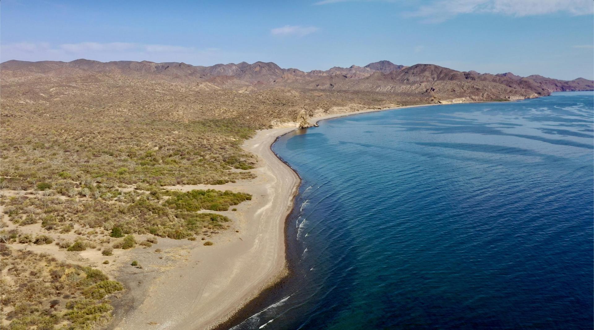 Gulf Of San Juanico, Loreto — photo 1 of 20