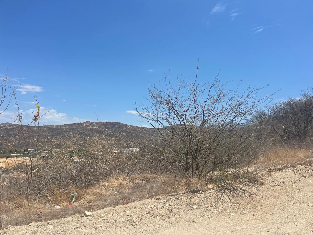 Terreno Animas, San José del Cabo — photo 1 of 9