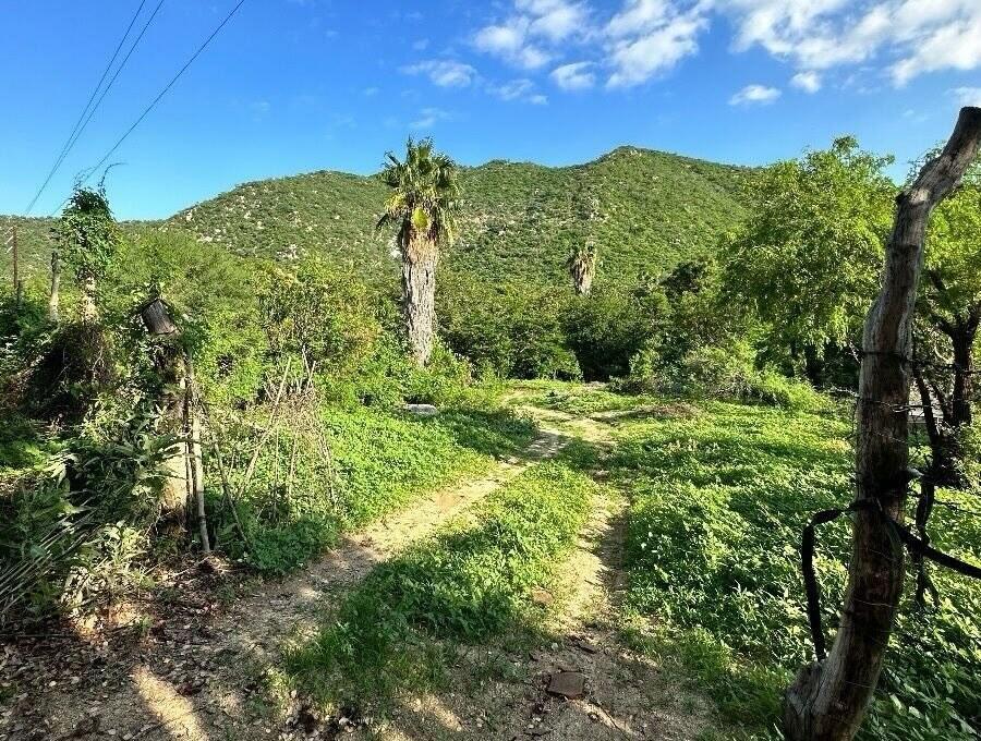 Orchard Land San Bartolo BCS, East Cape — photo 1 of 22
