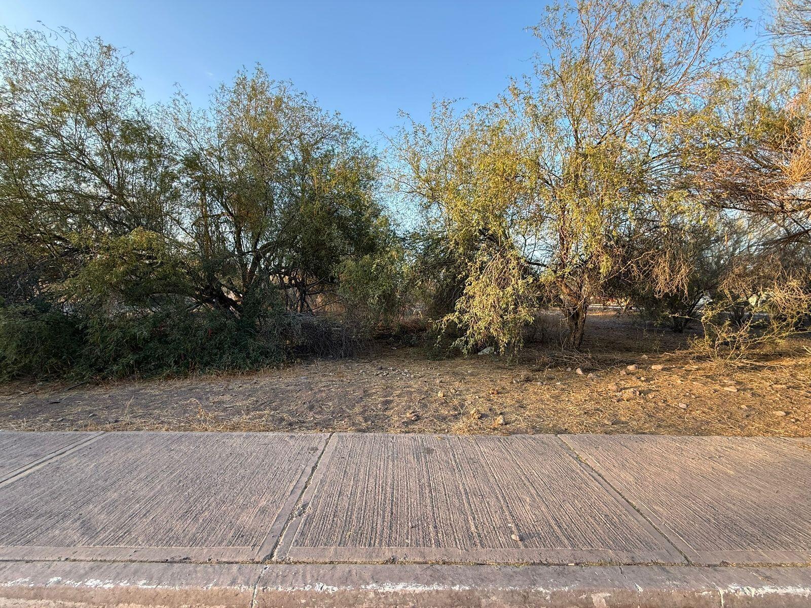Juan Rodriguez, Misioneros Lot 09, Loreto — photo 1 of 6