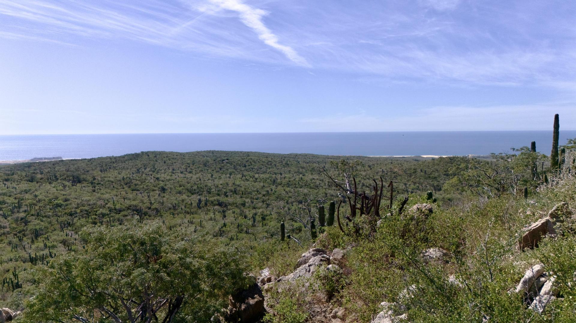 B Rancho Pedregoso, Lote Pedregoso, Pacific — photo 1 of 17