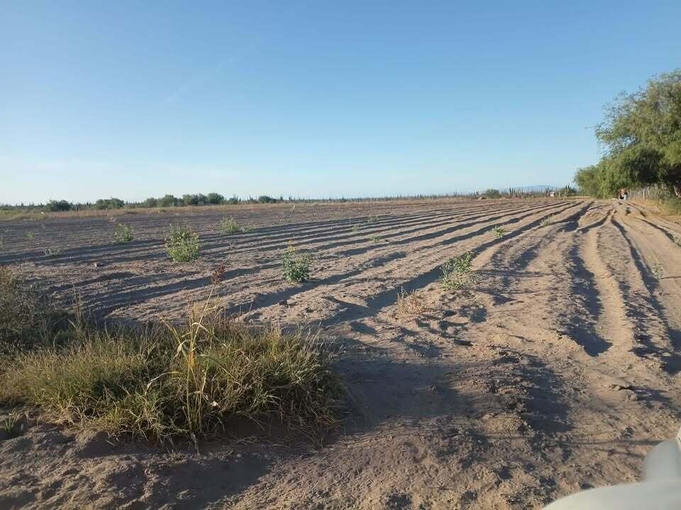 Calle Acceso, Alfredo V Bonfil, Terreno En Venta, Pacific — photo 1 of 14
