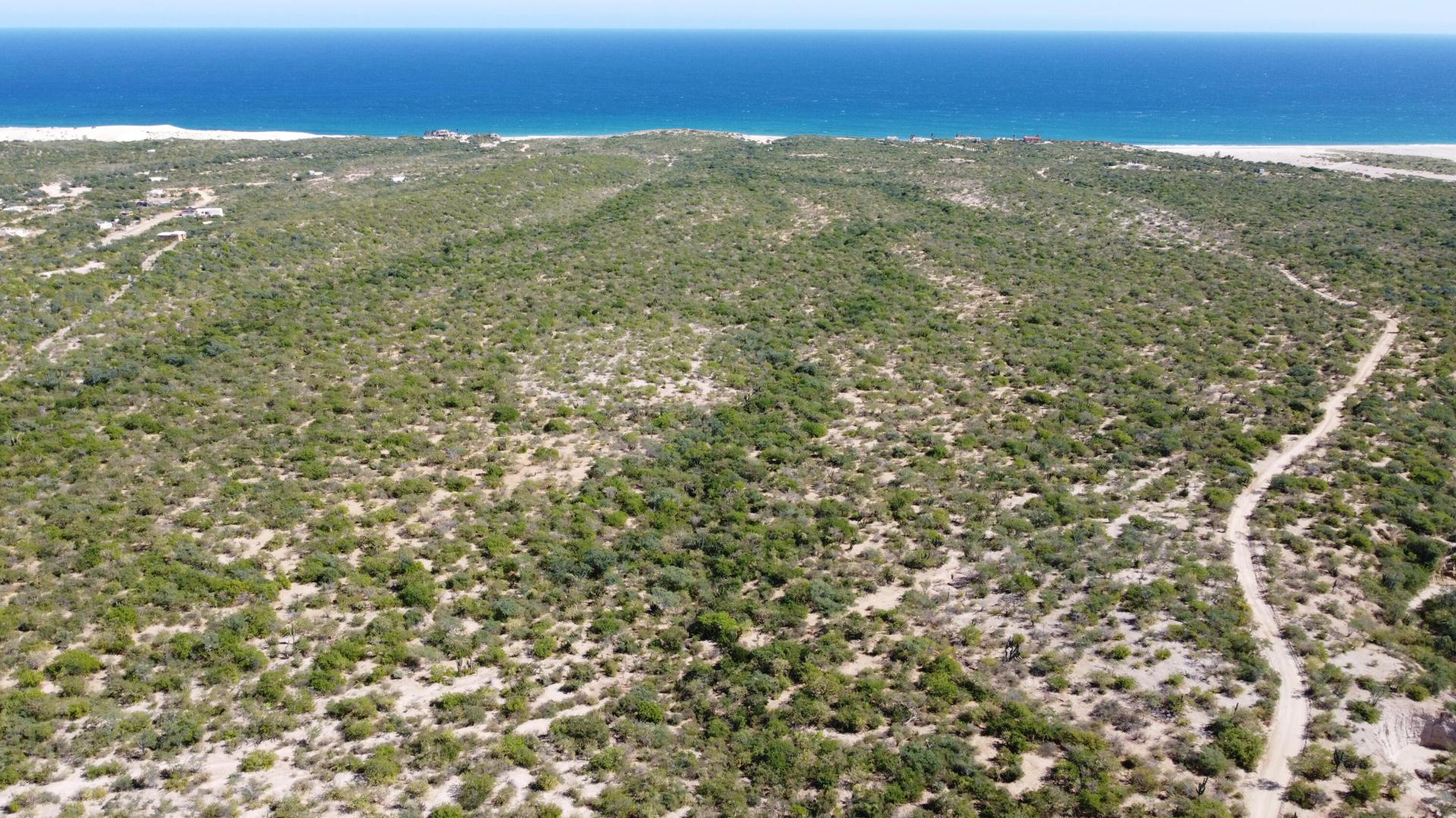 Boca del Salado, East Cape — photo 1 of 11