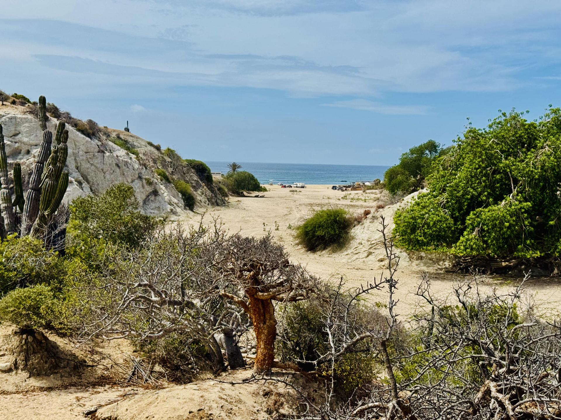 Rancho La Fortuna Lot R4, East Cape — photo 1 of 24