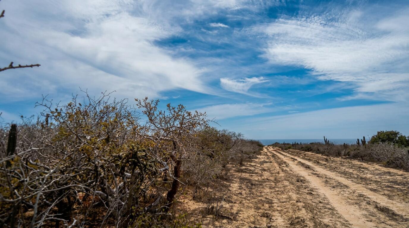 14a Camino del Tiburon, Land In Agua Blanca Lot 14a, Pacific — photo 1 of 8