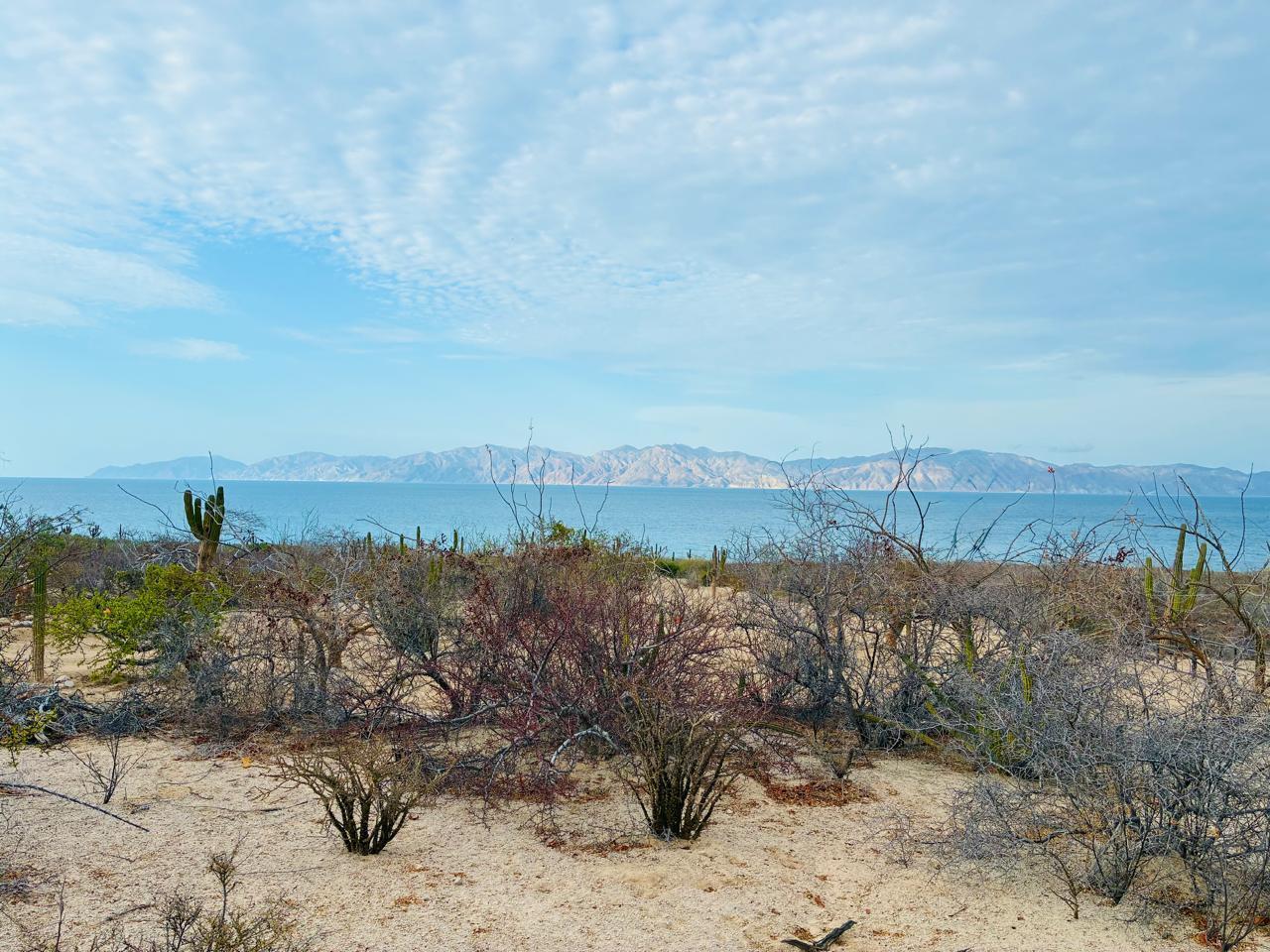 Sin Nombre S/N, Baja Secret, Lot 1, La Paz — photo 1 of 20