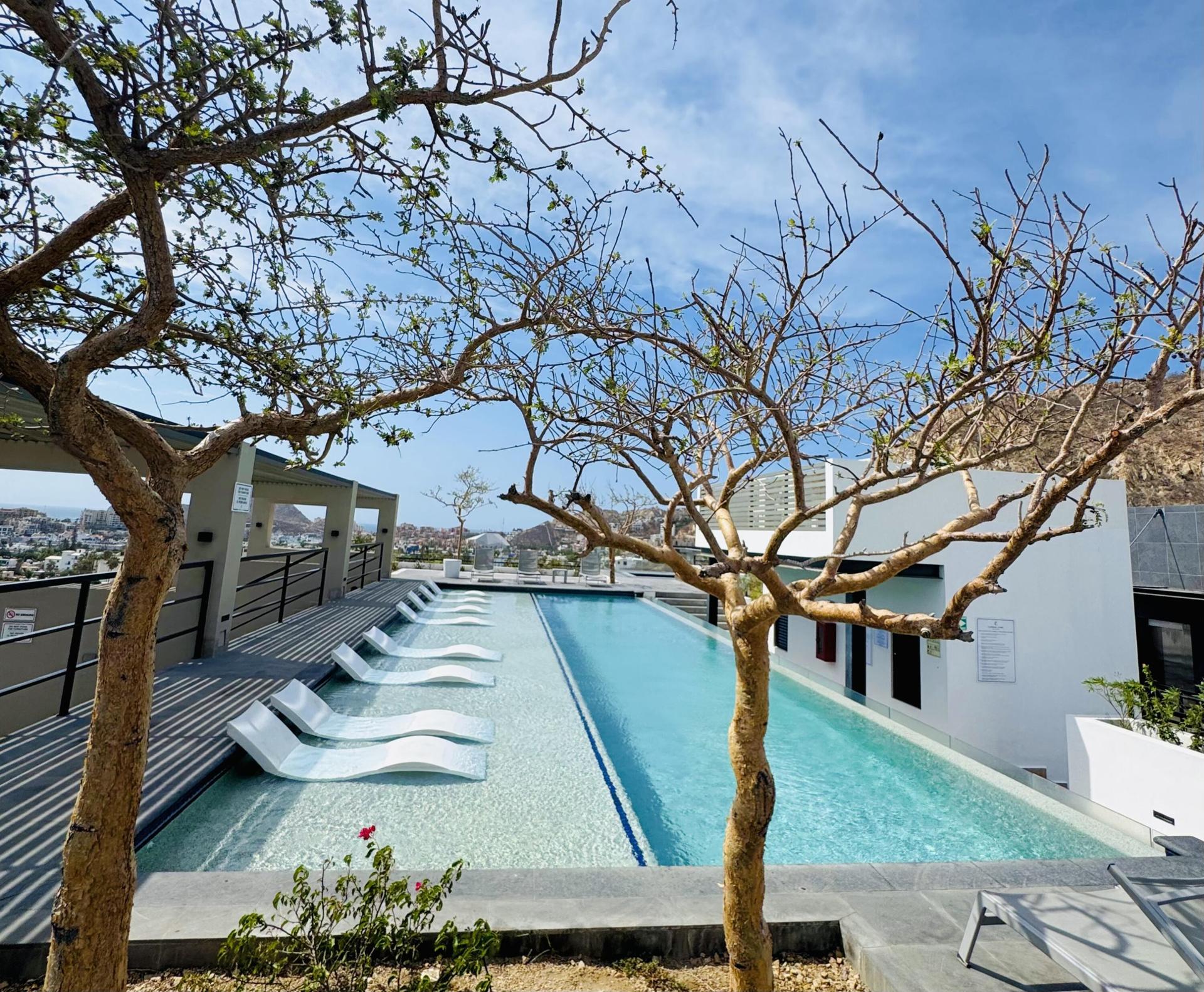 Centro, P103 Cardinal Living, Cabo San Lucas