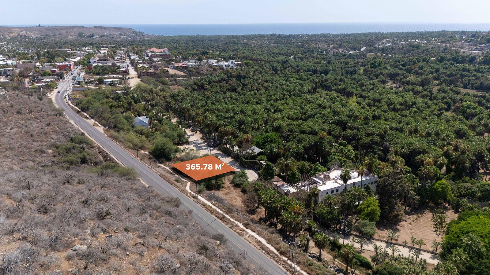 Lote Cardon Todos Santos, Pacific — photo 1 of 24