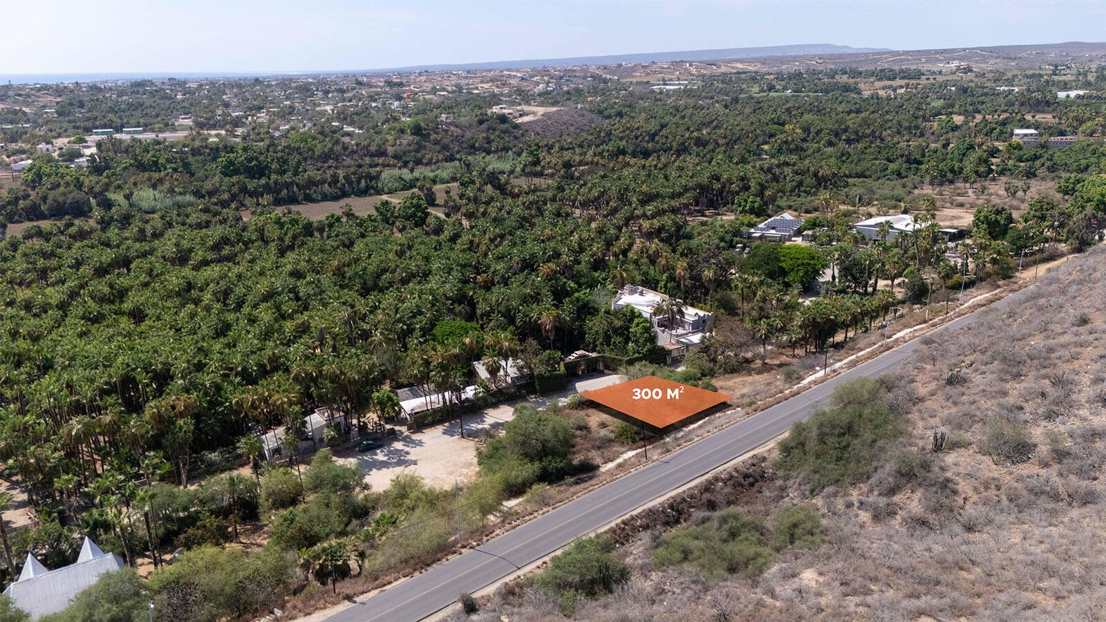 Lote Las Palmas Todos Santos, Pacific — photo 1 of 22