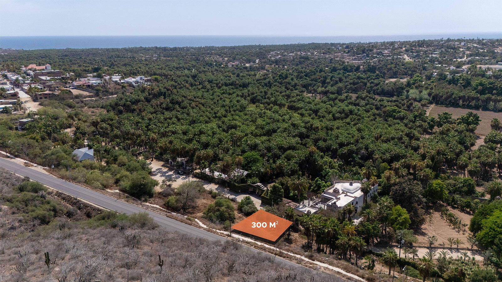 Lote Agave Todos Santos, Pacific — photo 1 of 21