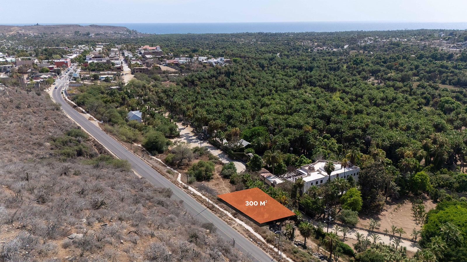 Lote Sahuaro Todos Santos, Pacific — photo 1 of 24
