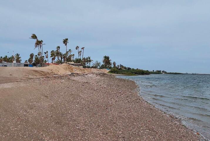 Rio Nilo & Zofemat, Beachfront San Carlos BCS, Comondu — photo 1 of 11