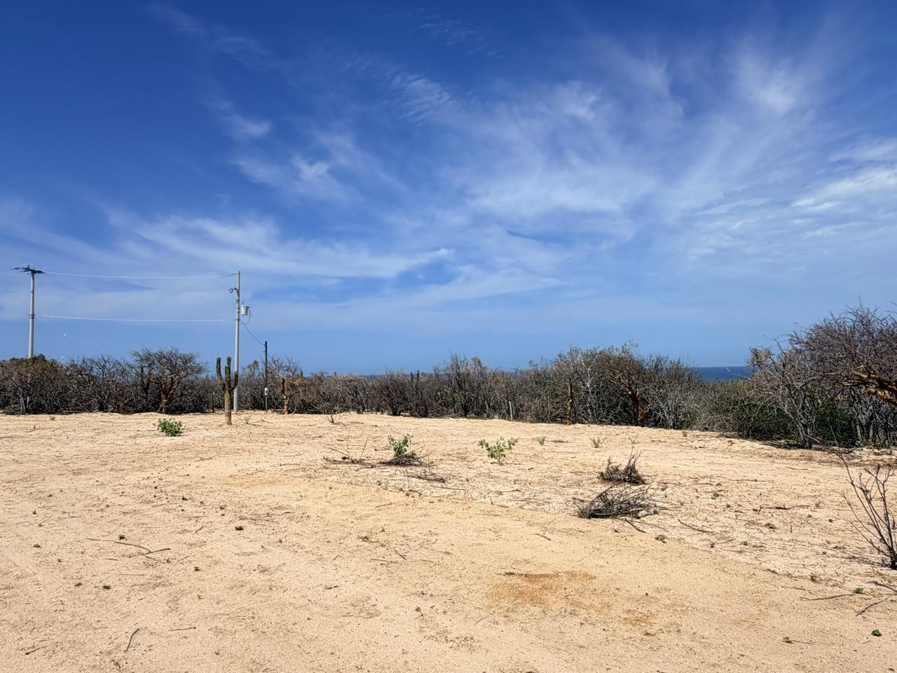 Candelilla Lot 28, East Cape — photo 1 of 15