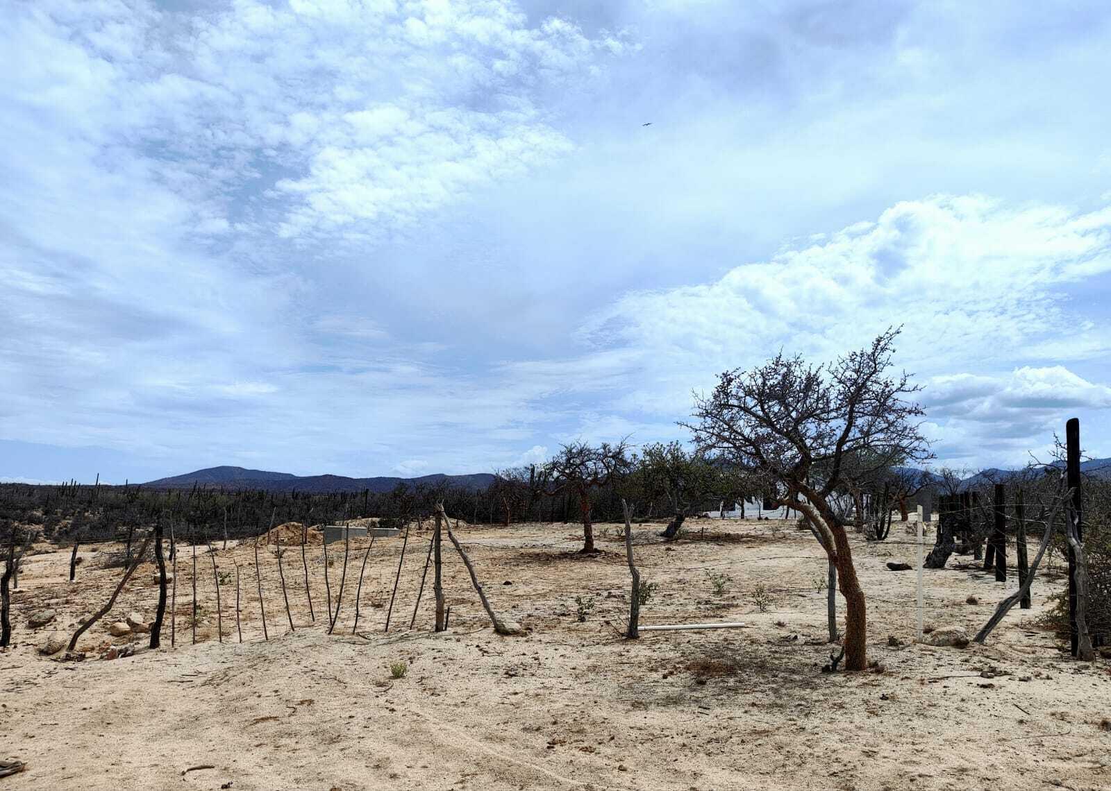 Mimi'S Lot, East Cape — photo 1 of 16