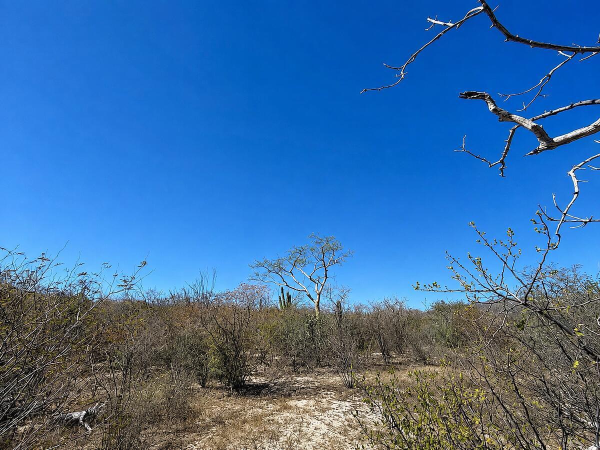 S/N San Juan De Los Planes, Lote La Cuesta 'B', La Paz — photo 1 of 12