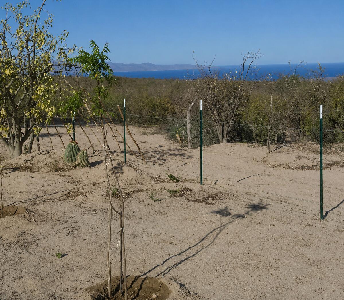 S/N San Juan De Los Planes, Lote La Cuesta 'D', La Paz — photo 1 of 12