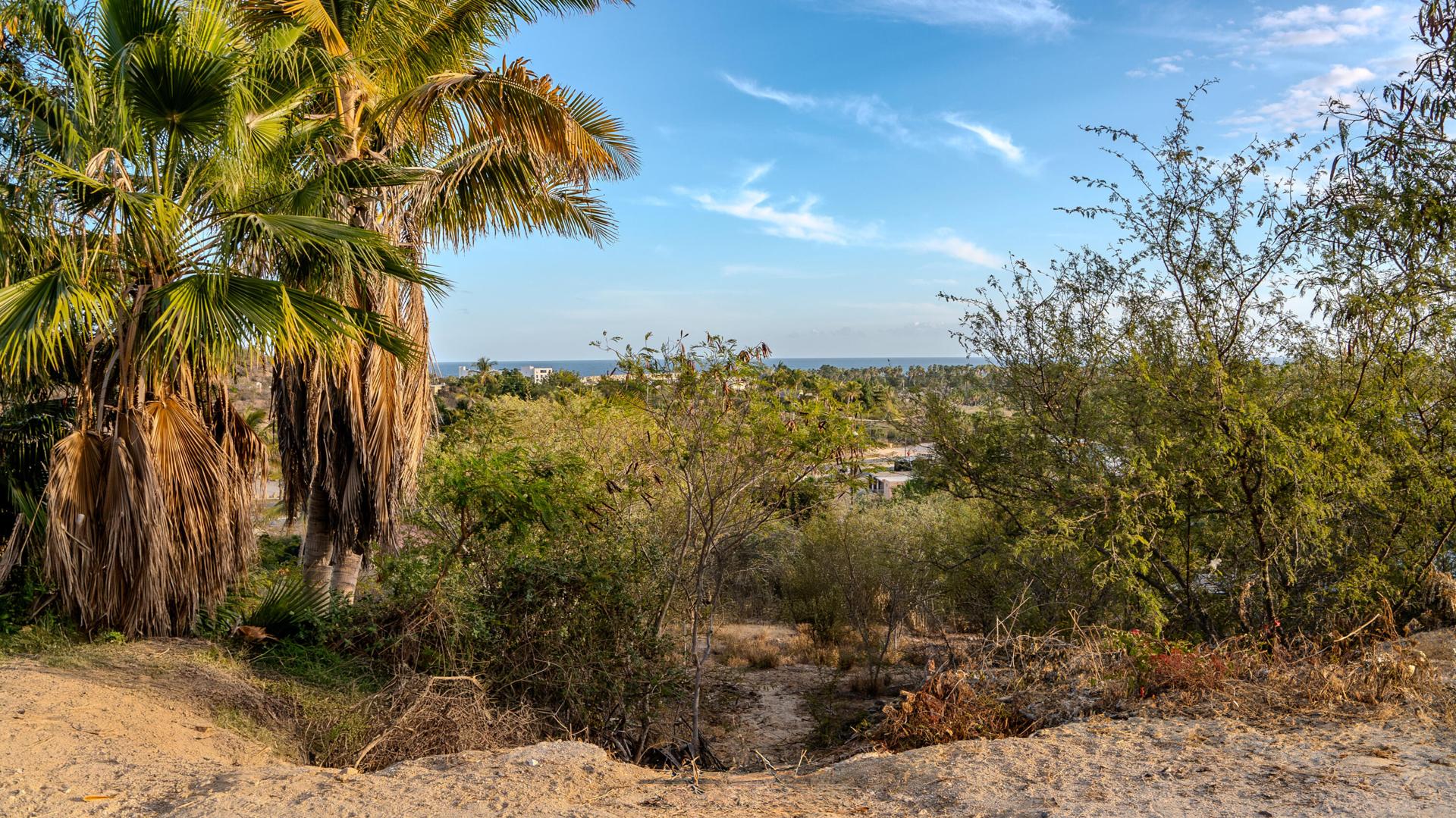 Lote 5 San Vicente Y La Choya, Lote Díaz, San José del Cabo — photo 1 of 9