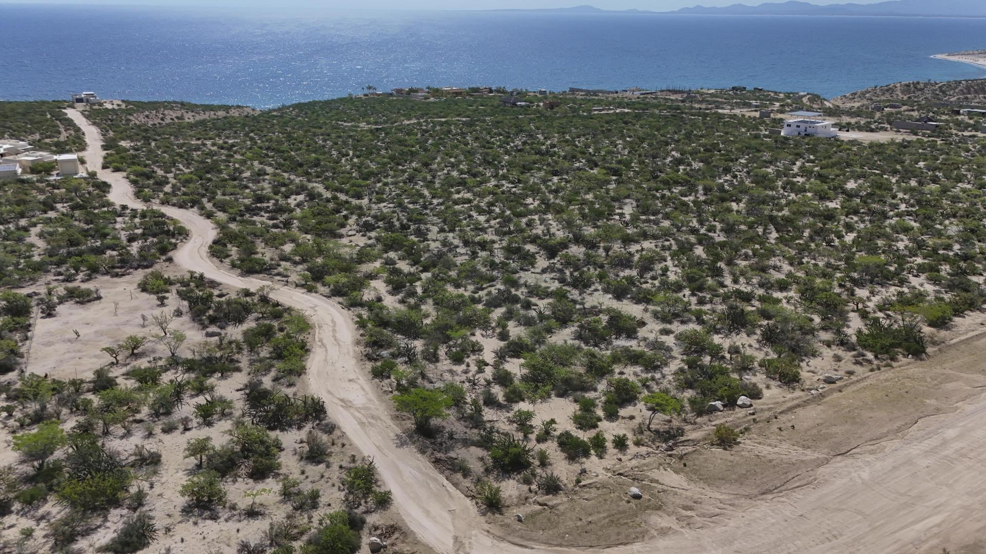 Lot 3 Carmen De La Pena Castro, Rancho Linderella El Jalito, La Paz — photo 1 of 12