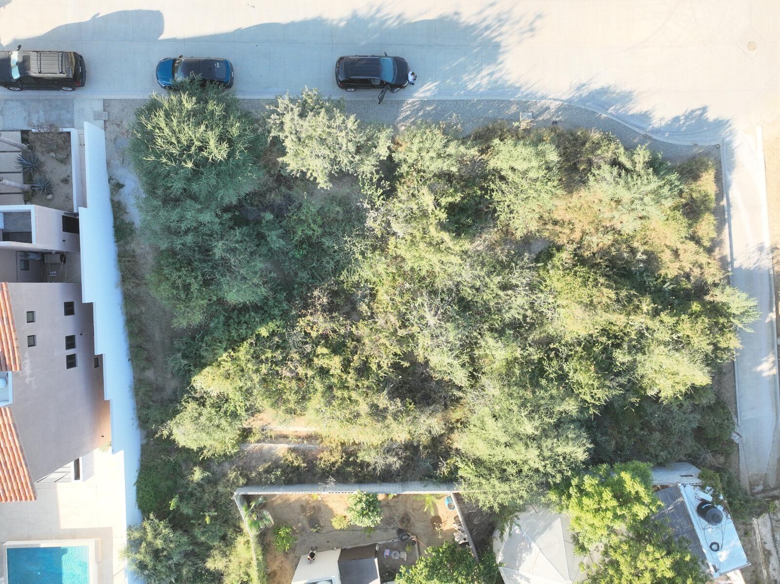 Lote 96, San José del Cabo — photo 1 of 10