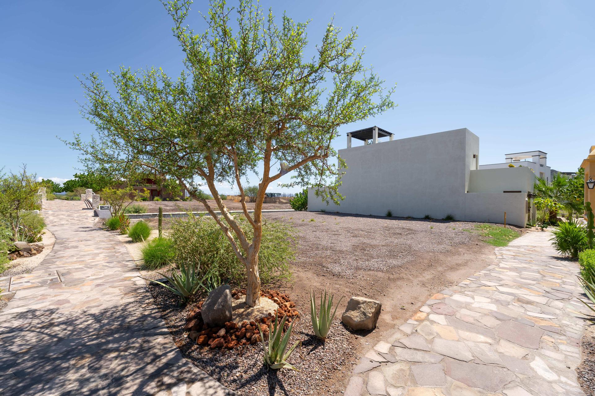 Agua Viva 133, Loreto — photo 1 of 15