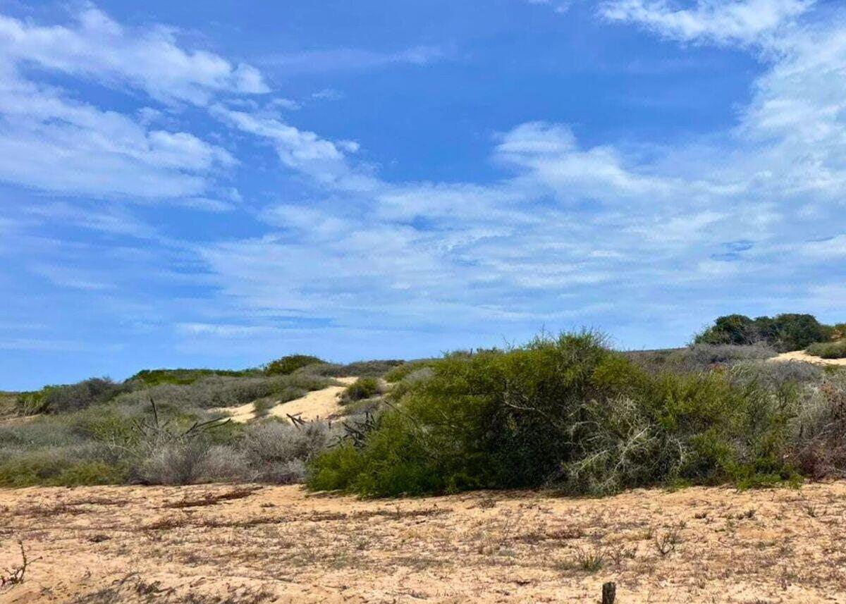 Camino De La Mojarra, Agua Blanca Lot #1, Pacific — photo 1 of 7
