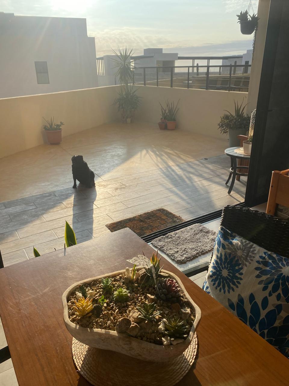Don Alberto Y Corre Caminos, Vista Mare 2101, Cabo San Lucas — photo 1 of 24