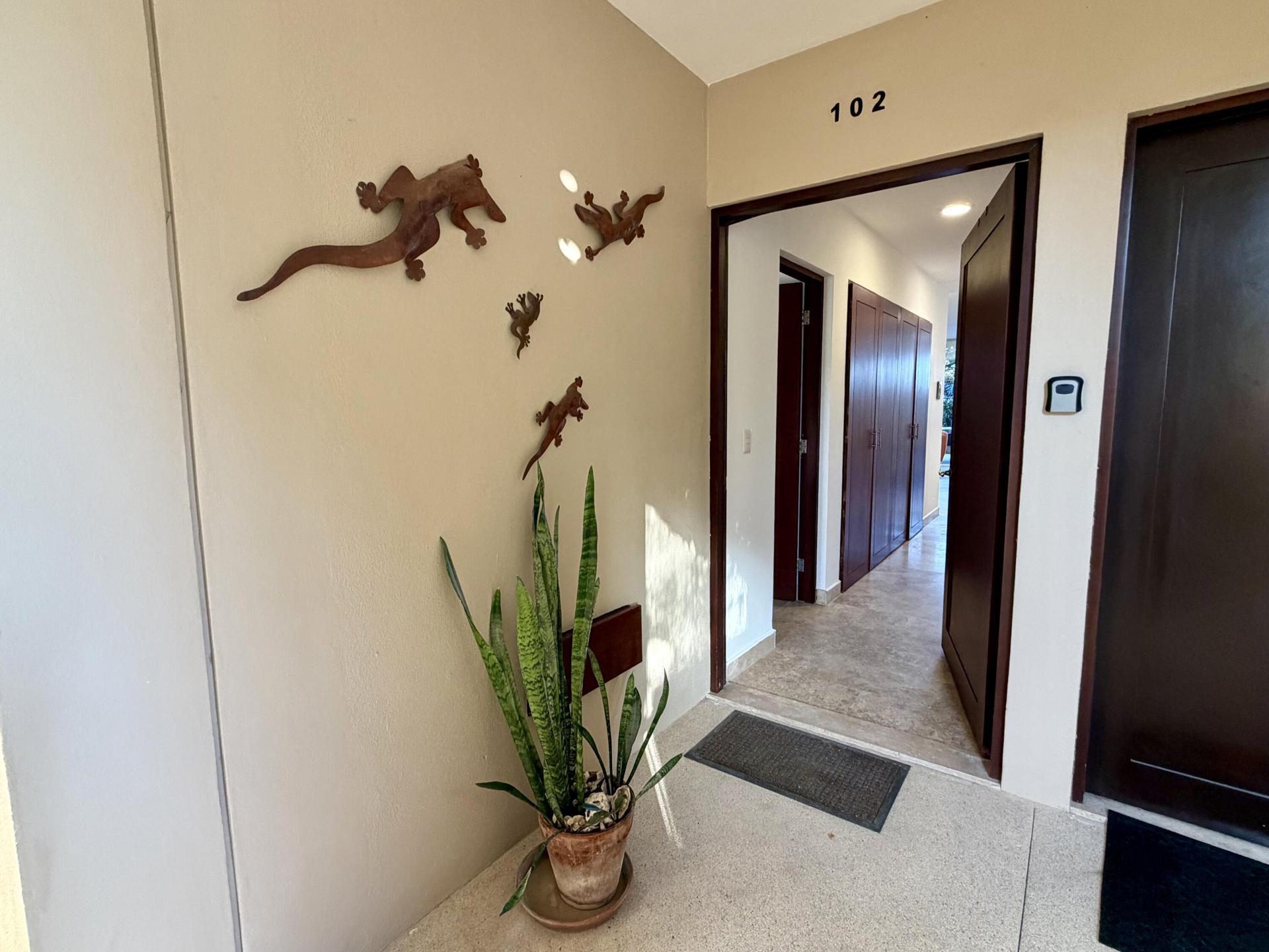 El Mirador, San José del Cabo — photo 1 of 24