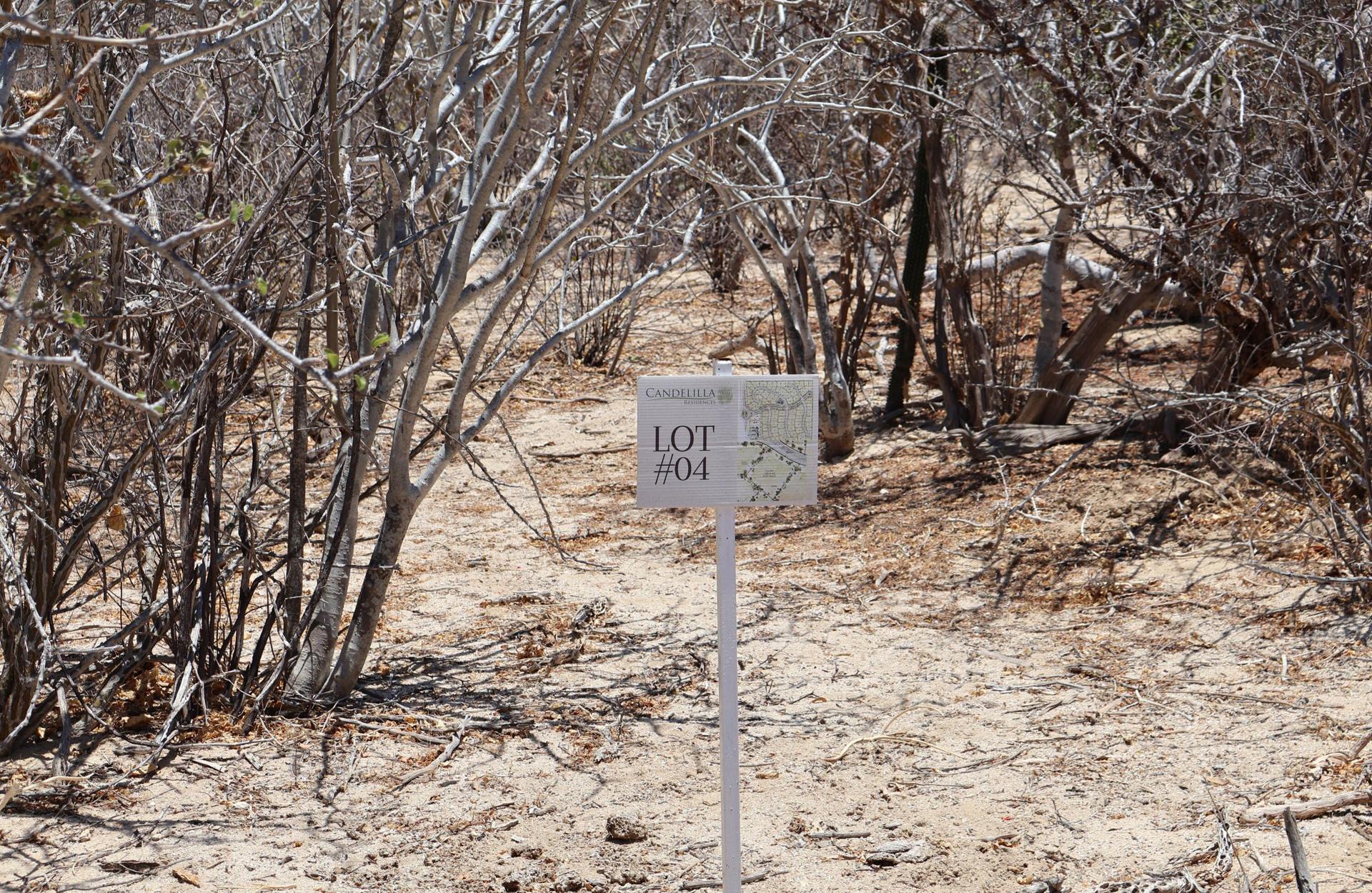 Candelilla Lot 4, East Cape — photo 1 of 7