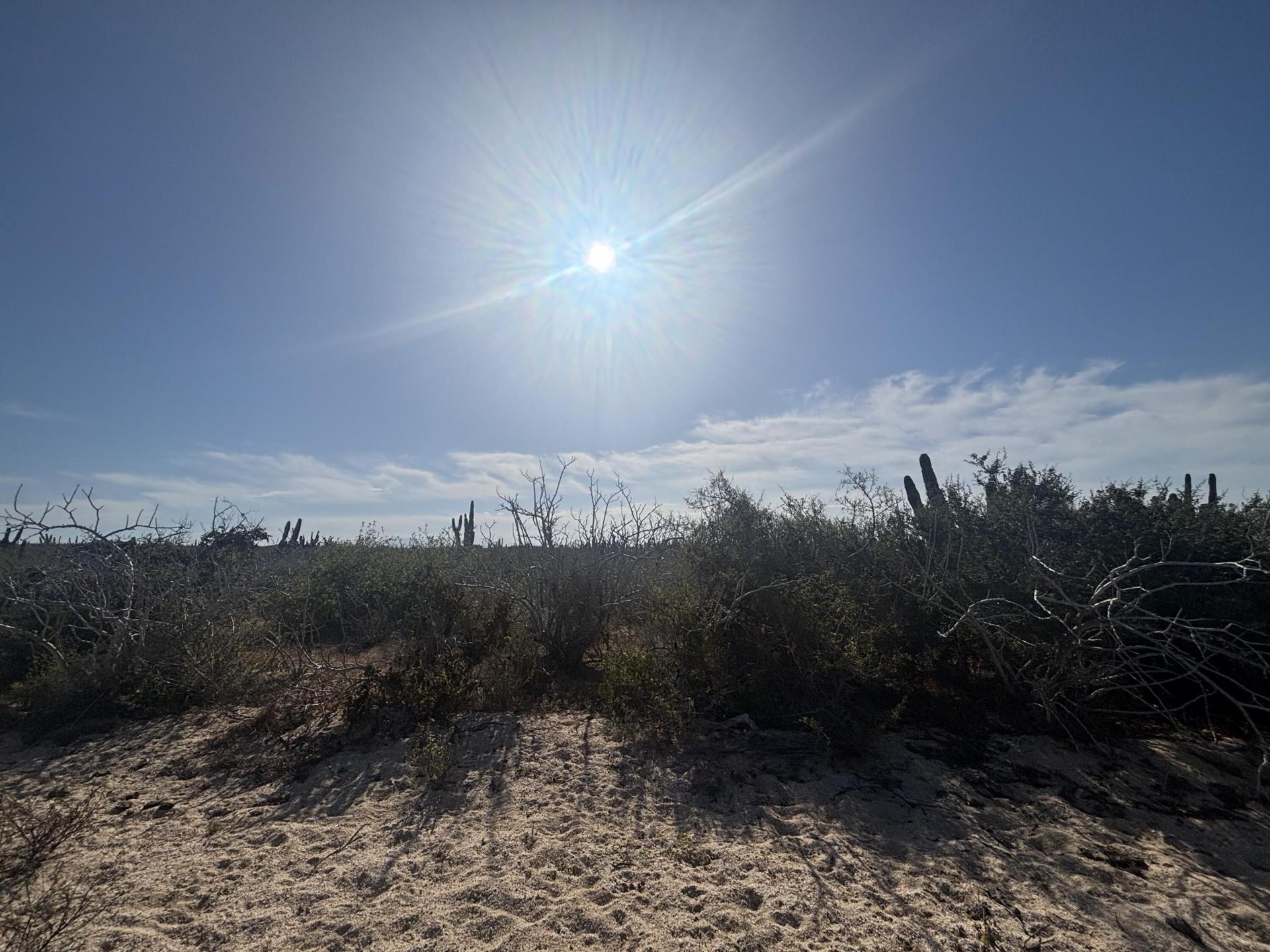 Camino De La Tiburon, Agua Blanca Mza J10 Lote 18b, Pacific — photo 1 of 8