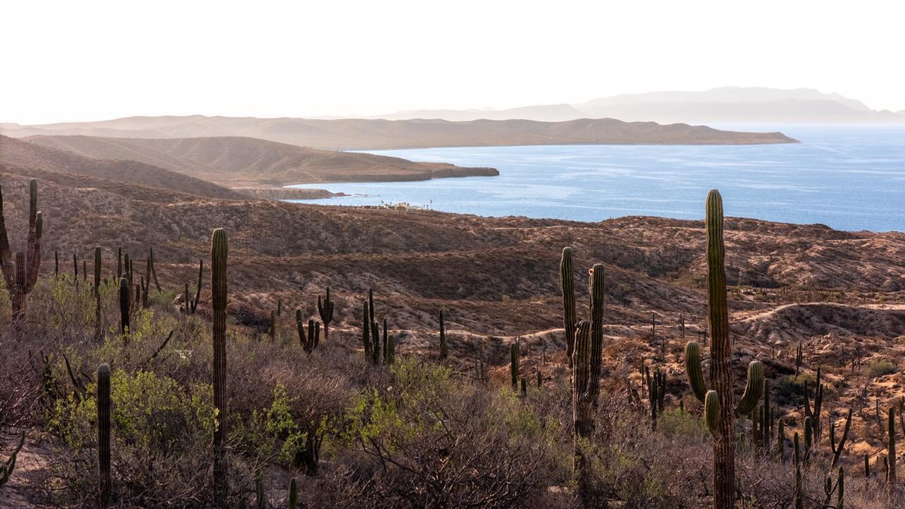 Puerto Mexia Madre Perla, Lote F15, East Cape — photo 1 of 15