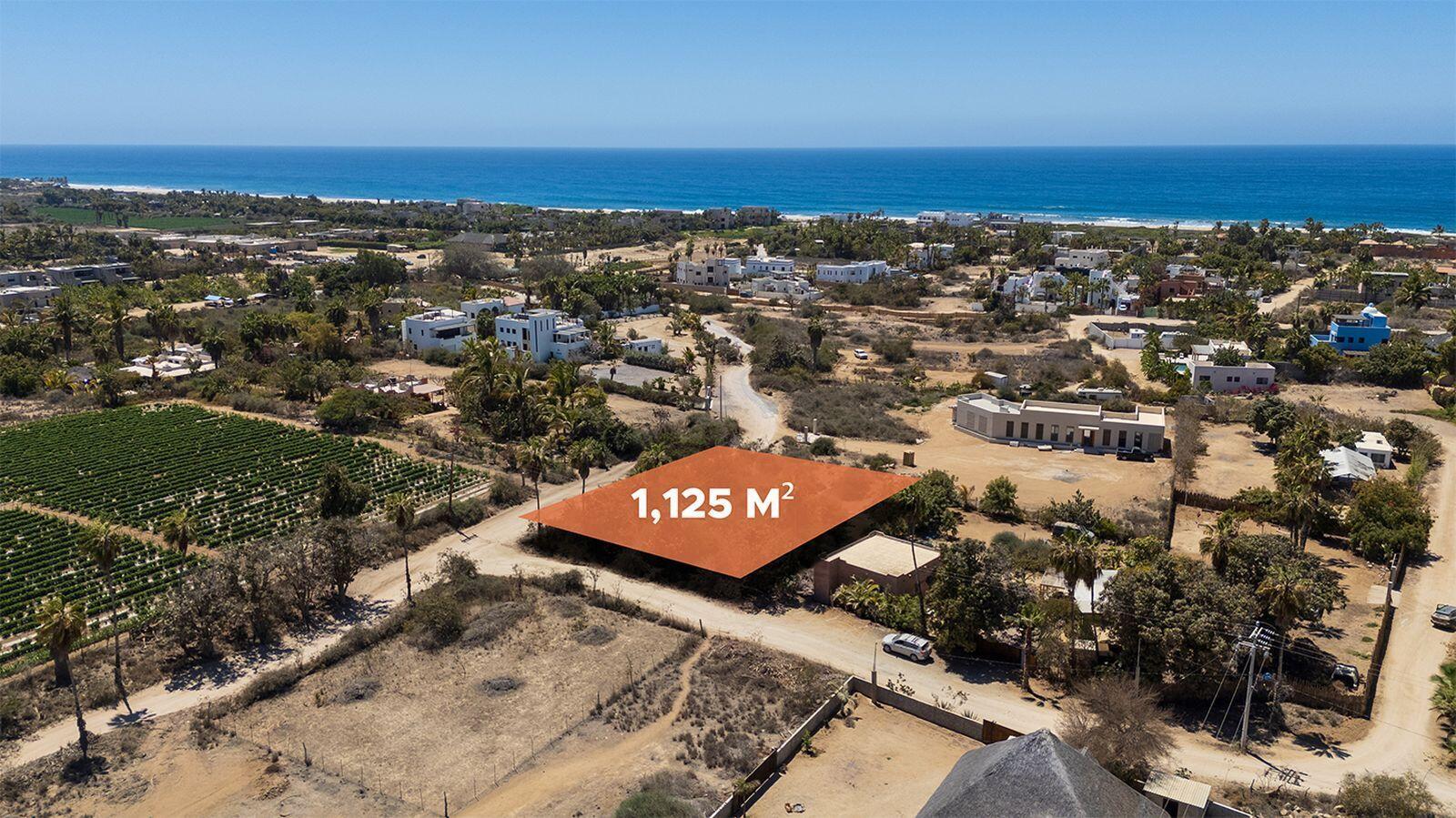 San Pedrito Farm, Pacific — photo 1 of 20