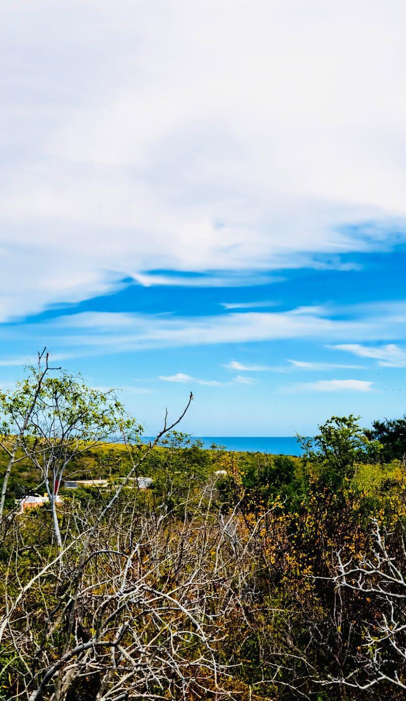 Villas Campestre La Laguna, Lot 8 Block 2, San José del Cabo — photo 1 of 4