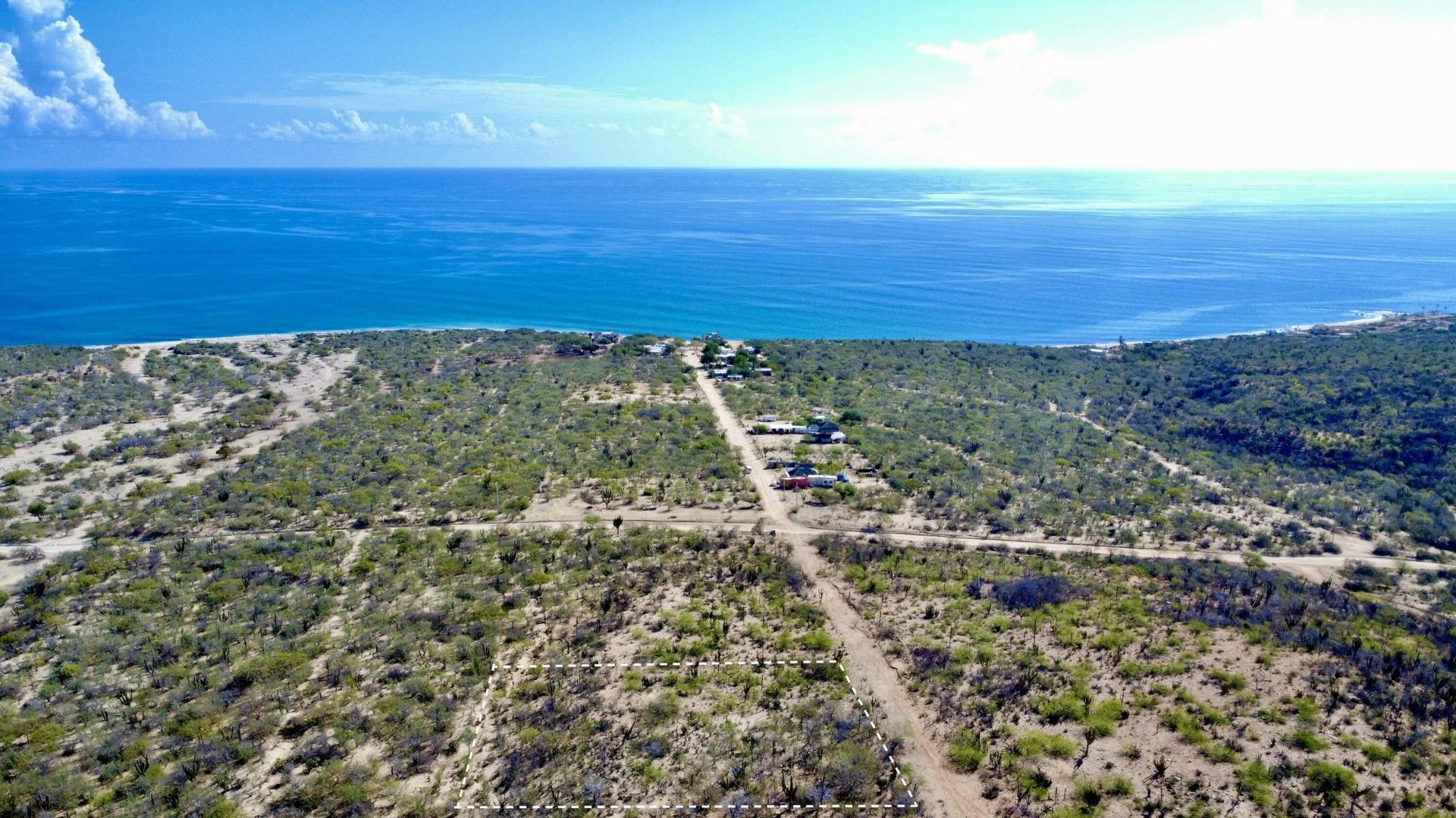 La Linea, El Cardona, Cactus View Lot, East Cape — photo 1 of 12